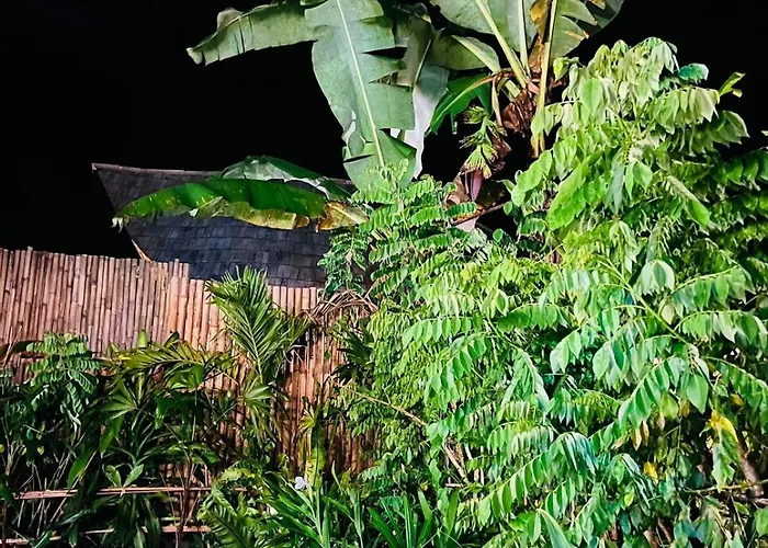 Bamboo House - Ecobreeze