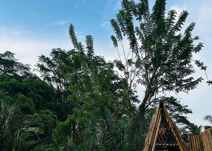 Bamboo House - Ecobreeze Sidemen (Bali)